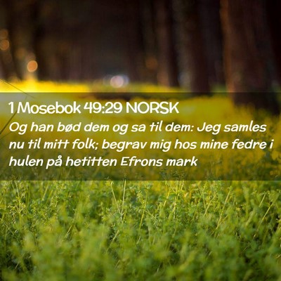 Picture 02 - 1 Mosebok 49:29 NORSK - Og han bød dem og sa til dem: Jeg samles nu til - Bible Verse Picture