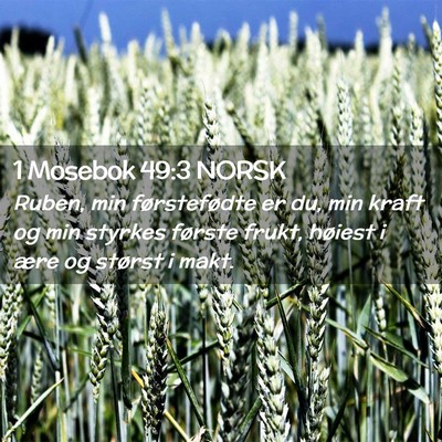 Picture 02 - 1 Mosebok 49:3 NORSK - Ruben, min førstefødte er du, min kraft og min - Bible Verse Picture