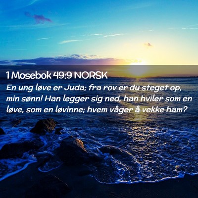 Picture 02 - 1 Mosebok 49:9 NORSK - En ung løve er Juda; fra rov er du steget op, - Bible Verse Picture