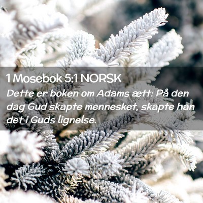 Picture 02 - 1 Mosebok 5:1 NORSK - Dette er boken om Adams ætt: På den dag Gud - Bible Verse Picture
