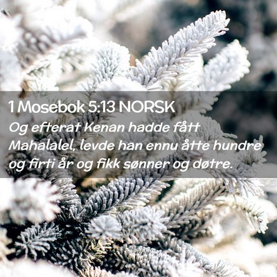 Picture 02 - 1 Mosebok 5:13 NORSK - Og efterat Kenan hadde fått Mahalalel, levde han - Bible Verse Picture