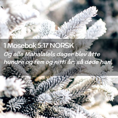 Picture 02 - 1 Mosebok 5:17 NORSK - Og alle Mahalalels dager blev åtte hundre og fem - Bible Verse Picture