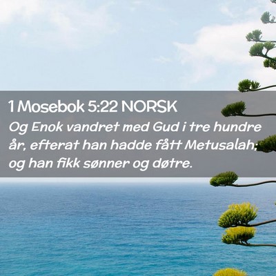 Picture 02 - 1 Mosebok 5:22 NORSK - Og Enok vandret med Gud i tre hundre år, efterat - Bible Verse Picture