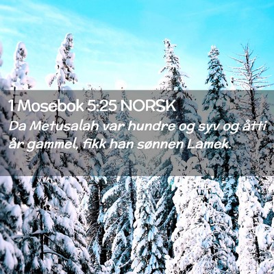 Picture 02 - 1 Mosebok 5:25 NORSK - Da Metusalah var hundre og syv og åtti år - Bible Verse Picture