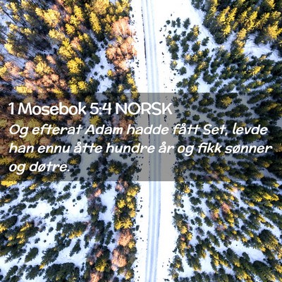 Picture 02 - 1 Mosebok 5:4 NORSK - Og efterat Adam hadde fått Set, levde han ennu - Bible Verse Picture