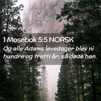 Picture 02 - 1 Mosebok 5:5 NORSK - Og alle Adams levedager blev ni hundre og tretti - Bible Verse Picture