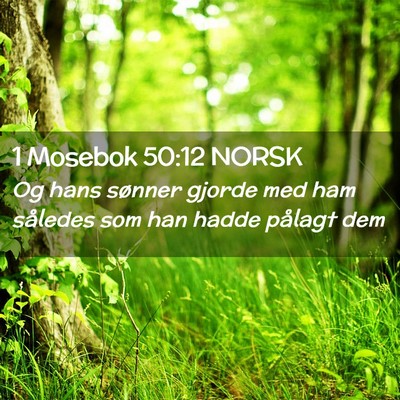 Picture 02 - 1 Mosebok 50:12 NORSK - Og hans sønner gjorde med ham således som han - Bible Verse Picture