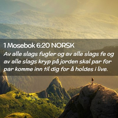 Picture 02 - 1 Mosebok 6:20 NORSK - Av alle slags fugler og av alle slags fe og av - Bible Verse Picture