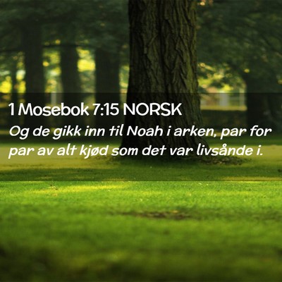 Picture 02 - 1 Mosebok 7:15 NORSK - Og de gikk inn til Noah i arken, par for par av - Bible Verse Picture