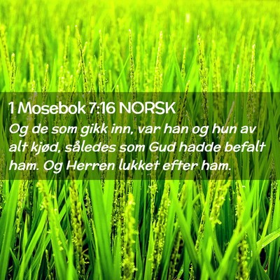Picture 02 - 1 Mosebok 7:16 NORSK - Og de som gikk inn, var han og hun av alt kjød, - Bible Verse Picture