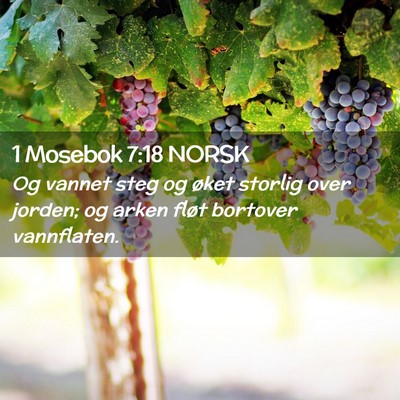 Picture 02 - 1 Mosebok 7:18 NORSK - Og vannet steg og øket storlig over jorden; og - Bible Verse Picture