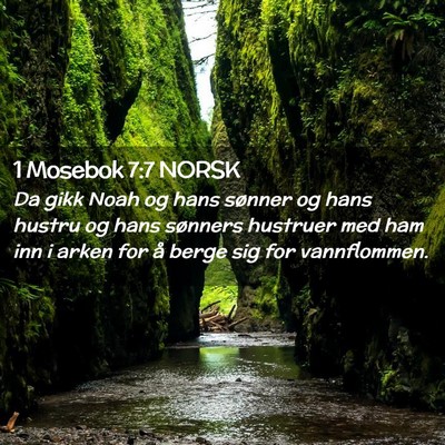 Picture 02 - 1 Mosebok 7:7 NORSK - Da gikk Noah og hans sønner og hans hustru og - Bible Verse Picture