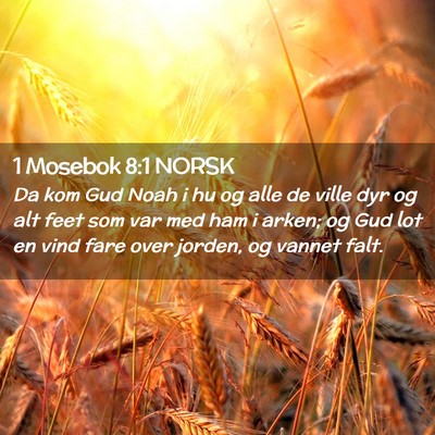 Picture 02 - 1 Mosebok 8:1 NORSK - Da kom Gud Noah i hu og alle de ville dyr og alt - Bible Verse Picture