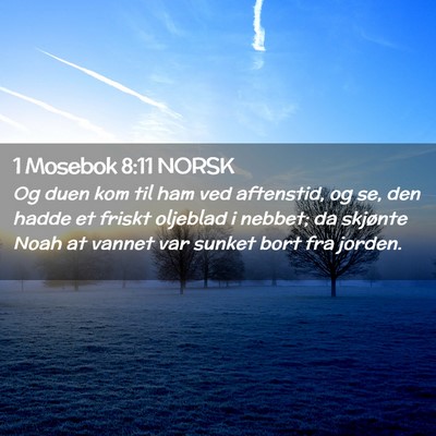 Picture 02 - 1 Mosebok 8:11 NORSK - Og duen kom til ham ved aftenstid, og se, den - Bible Verse Picture
