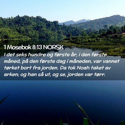 Picture 02 - 1 Mosebok 8:13 NORSK - I det seks hundre og første år, i den første - Bible Verse Picture
