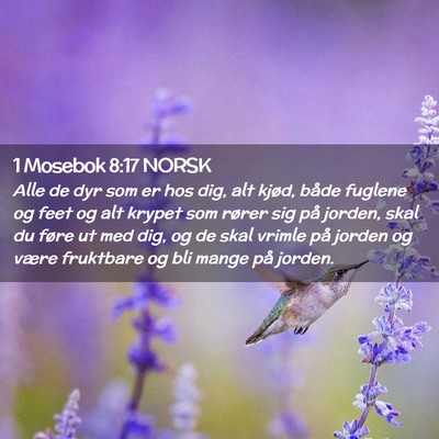 Picture 02 - 1 Mosebok 8:17 NORSK - Alle de dyr som er hos dig, alt kjød, både - Bible Verse Picture