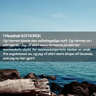 Picture 02 - 1 Mosebok 8:21 NORSK - Og Herren kjente den velbehagelige duft. Og - Bible Verse Picture