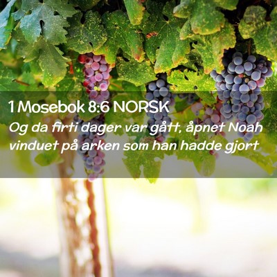 Picture 02 - 1 Mosebok 8:6 NORSK - Og da firti dager var gått, åpnet Noah vinduet - Bible Verse Picture