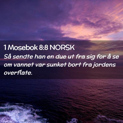 Picture 02 - 1 Mosebok 8:8 NORSK - Så sendte han en due ut fra sig for å se om - Bible Verse Picture