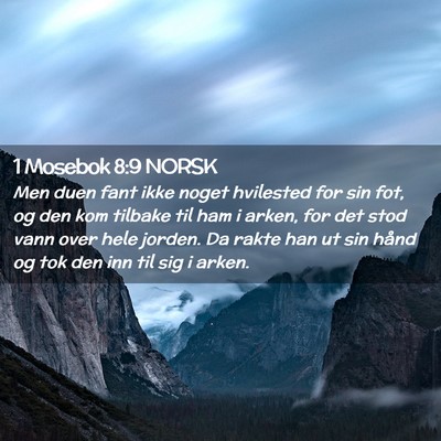 Picture 02 - 1 Mosebok 8:9 NORSK - Men duen fant ikke noget hvilested for sin fot, - Bible Verse Picture