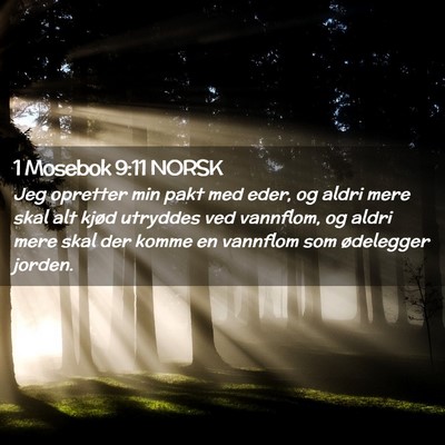 Picture 02 - 1 Mosebok 9:11 NORSK - Jeg opretter min pakt med eder, og aldri mere - Bible Verse Picture