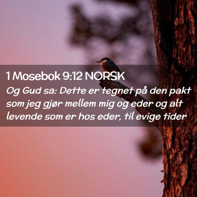 Picture 02 - 1 Mosebok 9:12 NORSK - Og Gud sa: Dette er tegnet på den pakt som jeg - Bible Verse Picture