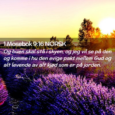 Picture 02 - 1 Mosebok 9:16 NORSK - Og buen skal stå i skyen, og jeg vil se på den - Bible Verse Picture