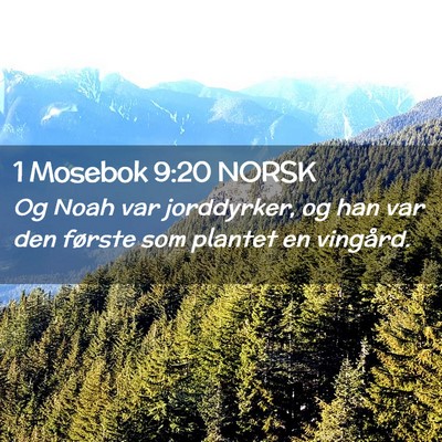 Picture 02 - 1 Mosebok 9:20 NORSK - Og Noah var jorddyrker, og han var den første - Bible Verse Picture
