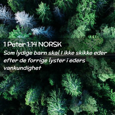 Picture 02 - 1 Peter 1:14 NORSK - Som lydige barn skal I ikke skikke eder efter de - Bible Verse Picture