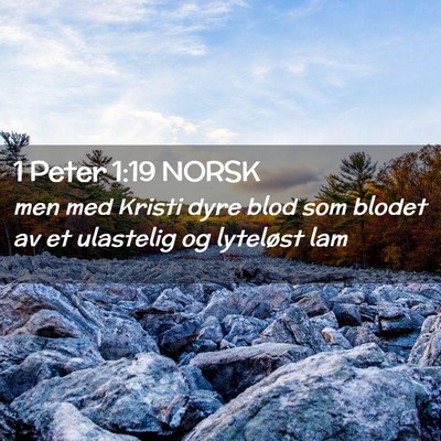Picture 02 - 1 Peter 1:19 NORSK - men med Kristi dyre blod som blodet av et - Bible Verse Picture