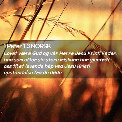 Picture 02 - 1 Peter 1:3 NORSK - Lovet være Gud og vår Herre Jesu Kristi Fader, - Bible Verse Picture