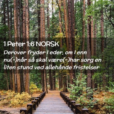 Picture 02 - 1 Peter 1:6 NORSK - Derover fryder I eder, om I enn nu(-)når så - Bible Verse Picture
