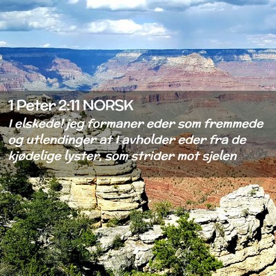 Picture 02 - 1 Peter 2:11 NORSK - I elskede! jeg formaner eder som fremmede og - Bible Verse Picture
