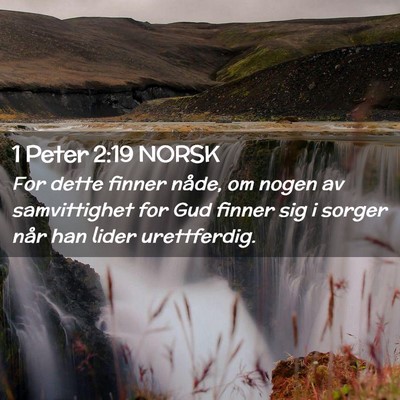 Picture 02 - 1 Peter 2:19 NORSK - For dette finner nåde, om nogen av samvittighet - Bible Verse Picture