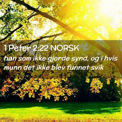 Picture 02 - 1 Peter 2:22 NORSK - han som ikke gjorde synd, og i hvis munn det ikke - Bible Verse Picture