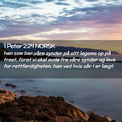 Picture 02 - 1 Peter 2:24 NORSK - han som bar våre synder på sitt legeme op på - Bible Verse Picture