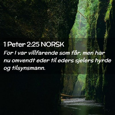 Picture 02 - 1 Peter 2:25 NORSK - For I var villfarende som får, men har nu - Bible Verse Picture