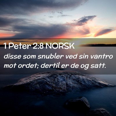 Picture 02 - 1 Peter 2:8 NORSK - disse som snubler ved sin vantro mot ordet; - Bible Verse Picture