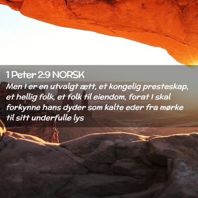 Picture 02 - 1 Peter 2:9 NORSK - Men I er en utvalgt ætt, et kongelig presteskap, - Bible Verse Picture
