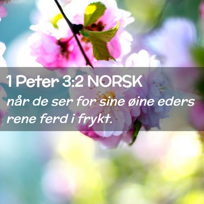 Picture 02 - 1 Peter 3:2 NORSK - når de ser for sine øine eders rene ferd i - Bible Verse Picture
