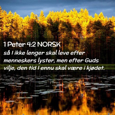 Picture 02 - 1 Peter 4:2 NORSK - så I ikke lenger skal leve efter menneskers - Bible Verse Picture