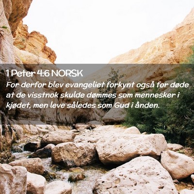Picture 02 - 1 Peter 4:6 NORSK - For derfor blev evangeliet forkynt også for - Bible Verse Picture