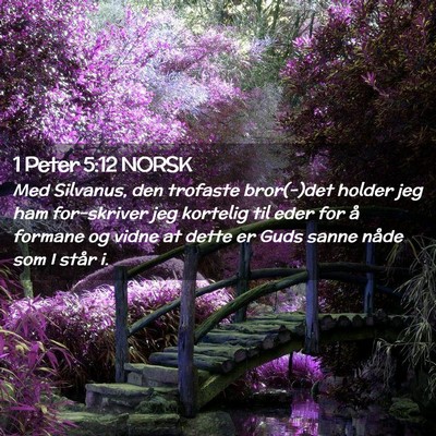 Picture 02 - 1 Peter 5:12 NORSK - Med Silvanus, den trofaste bror(-)det holder jeg - Bible Verse Picture