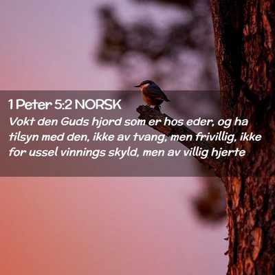 Picture 02 - 1 Peter 5:2 NORSK - Vokt den Guds hjord som er hos eder, og ha tilsyn - Bible Verse Picture