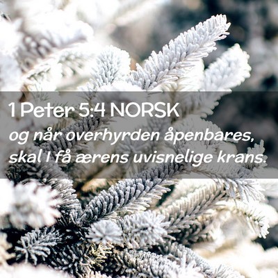 Picture 02 - 1 Peter 5:4 NORSK - og når overhyrden åpenbares, skal I få ærens - Bible Verse Picture