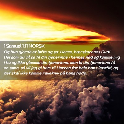Picture 02 - 1 Samuel 1:11 NORSK - Og hun gjorde et løfte og sa: Herre, - Bible Verse Picture