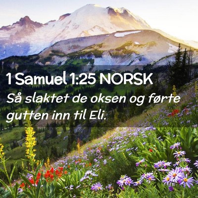 Picture 02 - 1 Samuel 1:25 NORSK - Så slaktet de oksen og førte gutten inn til - Bible Verse Picture