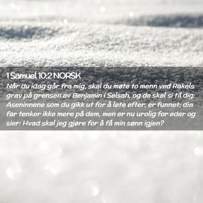 Picture 02 - 1 Samuel 10:2 NORSK - Når du idag går fra mig, skal du møte to menn - Bible Verse Picture