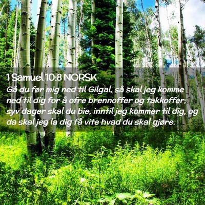Picture 02 - 1 Samuel 10:8 NORSK - Gå du før mig ned til Gilgal, så skal jeg - Bible Verse Picture