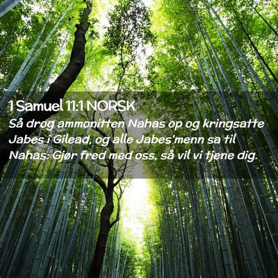 Picture 02 - 1 Samuel 11:1 NORSK - Så drog ammonitten Nahas op og kringsatte Jabes - Bible Verse Picture